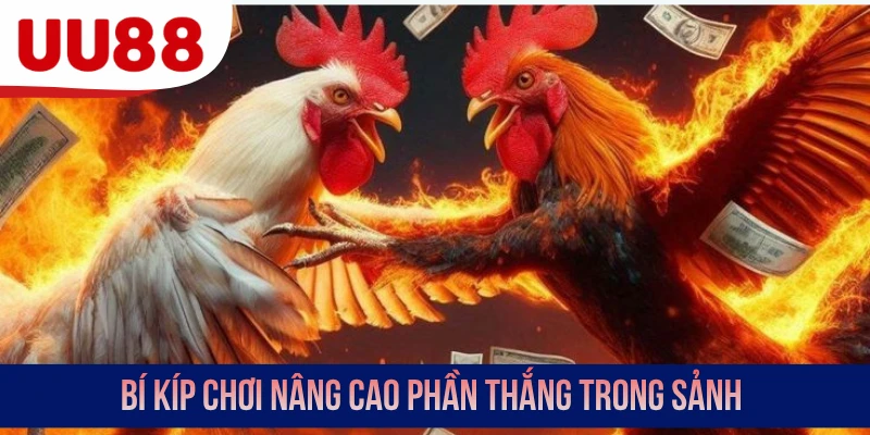 Bí kíp chơi nâng cao phần thắng trong sảnh