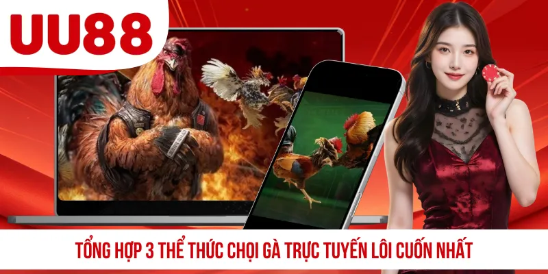 Tổng hợp 3 thể thức chọi gà trực tuyến lôi cuốn nhất