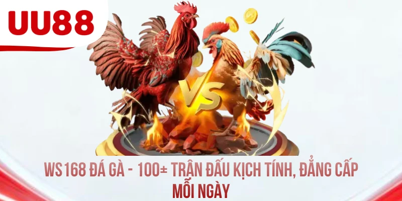 WS168 Đá Gà - 100+ Trận Đấu Kịch Tính, Đẳng Cấp Mỗi Ngày